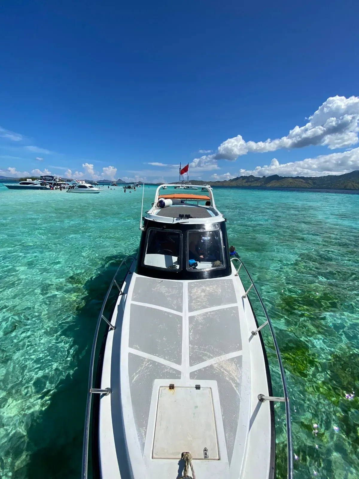 Komodo National Park Fees and Permits Guide